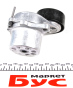 Натяжник ременя генератора MB Sprinter 906 OM651, фото 8 - интернет-магазин Auto-Mechanic