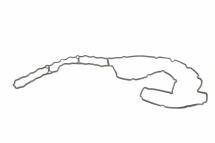 Прокладка кришки клапанів BMW 3 (E90)/5 (E60/F10) 07-13 N52/N53