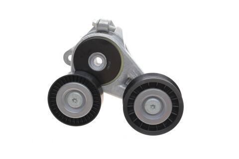 Натяжник ременя генератора Ford Focus 1.8 TDCi 04-12