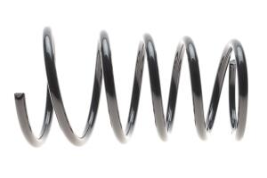 Пружина (задня) Nissan X-Trail 2.0/2.0 4x4/2.2DCi/Di/2.5 4x4 01-13