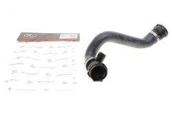 Патрубок системы охлаждения (нижний) (R) BMW 3 (E46) 2.0i-3.0i 00-06 M52/M54