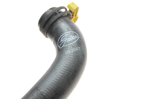 Патрубок радіатора (нижній) Ford Fiesta 1.25-1.6 16V 01-08 (R)