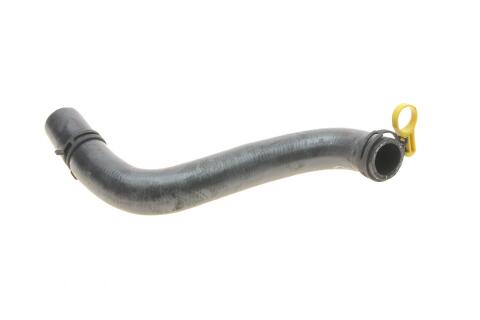 Патрубок радіатора (нижній) Ford Fiesta 1.25-1.6 16V 01-08 (R)