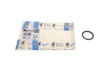 Прокладка патрубка інтеркулера ущільнююча Renault Scenic III 1.4/Dacia Dokker/Duster 1.5dCi 09- Прокладка патрубка інтеркулера ущільнююча Renault Scenic III 1.4/Dacia Dokker/Duster 1.5dCi 09-