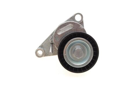 Натяжник ременя генератора Citroen C2/C3/C4/Peugeot 207/307 1.1-1.6 00-