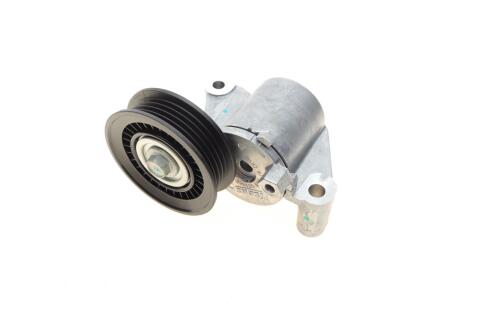Натяжник ременя генератора Ford Transit Connect 2.5 Duratec 13- (72.5x21.5)