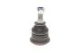 Опора кульова (передня/знизу) Hyundai Accent 94-05/Matrix/Getz 01-/ix20 10-/Kia Cerato 04-, фото 6 - інтерент-магазин Auto-Mechanic