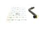 Патрубок радіатора (нижній) Ford Fiesta 1.25-1.6 16V 01-08 (R), фото 1 - інтерент-магазин Auto-Mechanic