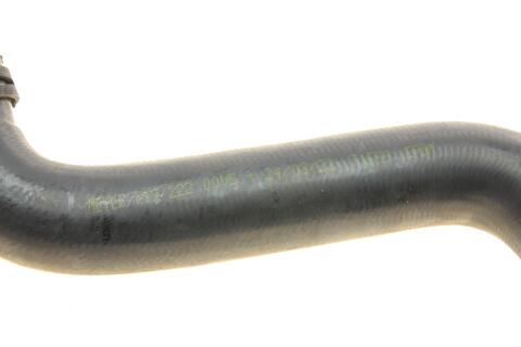 Патрубок радіатора (нижній) Ford Fiesta 1.25-1.6 16V 01-08 (R)