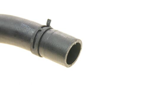 Патрубок радіатора (нижній) Ford Fiesta 1.25-1.6 16V 01-08 (R)