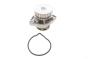 Помпа води Skoda Fabia/Octavia/Seat Ibiza/Cordoba/VW Caddy/Golf/Polo 1.4/1.4 16V 00-, фото 2 - интернет-магазин Auto-Mechanic