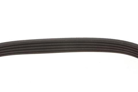 Ремінь генератора VW Golf V/Passat/Touran 1.4TSI 05-/Skoda Fabia 1.4 TSI RS 10-14 (5PK491) Ремінь генератора VW Golf V/Passat/Touran 1.4TSI 05-/Skoda Fabia 1.4 TSI RS 10-14 (5PK491)