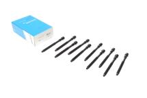 Болти головки (к-кт 10шт.)  Audi A4/A6/A8/VW Touareg 3.7/4.2 98-08