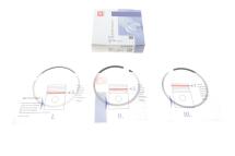 Кольца поршневые Ford Transit 2.0TDCi 00- (86.00mm/STD) (2-2-2) = 8921660000 Кольца поршневые Ford Transit 2.0TDCi 00- (86.00mm/STD) (2-2-2) = 8921660000