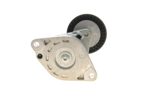 Натяжник ременя генератора Mitsubishi Outlander 3.0 06-12 (75x25)