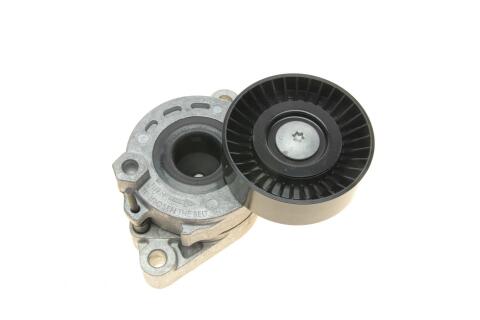 Натяжник ременя генератора Mitsubishi Outlander 3.0 06-12 (75x25)