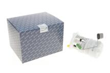 Насос паливний Renault LoganII/Sandero II 1.2 12- Насос паливний Renault LoganII/Sandero II 1.2 12-