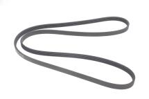 пас полікліновий