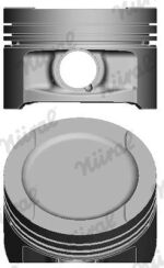 Поршень VW Passat/Golf 1.6 95-04 (81.00mm/STD) Поршень VW Passat/Golf 1.6 95-04 (81.00mm/STD)