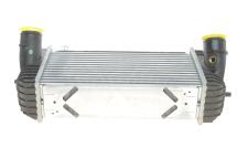 Радіатор інтеркулера Hyundai Santa Fe III/Kia Sorento 2.0D/2.2D 09-