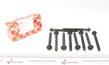 Болти головки (к-кт 10шт.) Renault Kangoo 1.5dCi Болти головки (к-кт 10шт.) Renault Kangoo 1.5dCi