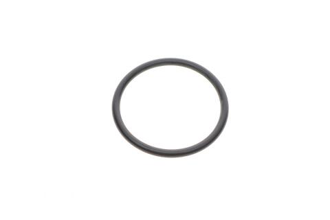 Уплотнительное кольцо (топливная система)