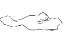 Прокладка кришки клапанів BMW 3 (G20/G80/G28)/X3 (G01/F97)/X4 (G02/F98) 17- B46/B48