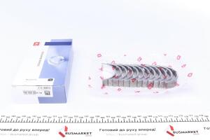 Вкладиші корінні VW T5/Touareg 2.5TDI 03-10 (+0.25) = 6050202500