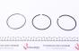 Кольца поршневые Renault Megane III/Scenic III 1.6dCi 11-(80.00mm/STD) (2,5-2-2) = 8938230000, фото 2 - интернет-магазин Auto-Mechanic