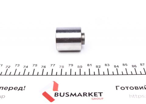 Ролик ГРМ VW Passat 2.0 FSI 05-10 (паразитный) (28.5х29)