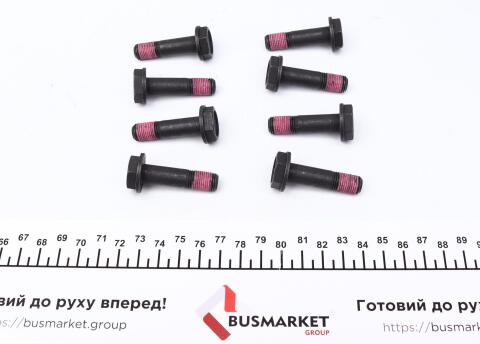 Демпфер зчеплення MB Vito (W639) 2.2CDI 03-09 (d=307,10mm)