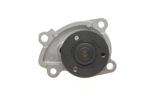 Насос воды Renault Clio/Scenic/Megane/Kangoo/Nissan Qashqai/Juke 0.9-1.2-1.4TCe/1.6 09-