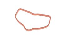 Прокладка впускного коллектора Audi A4/A6/A8/Q7 3.0 TFSI 08-19