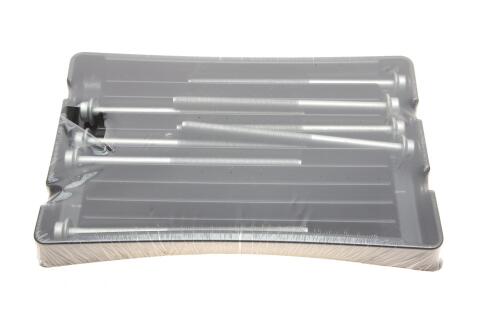 Болти головки (к-кт 8шт.) Skoda Fabia 01-14