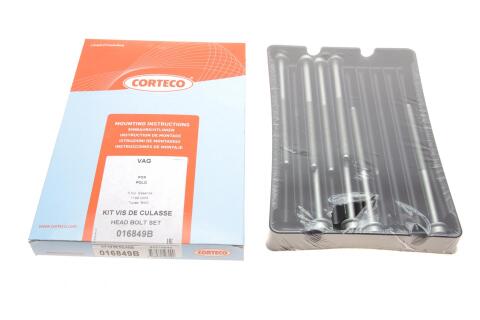 Болти головки (к-кт 8шт.) Skoda Fabia 01-14