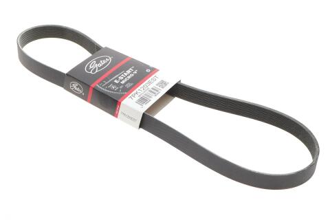 Ремінь генератора Renault Grand Scenic IV 1.5 dCi 16-