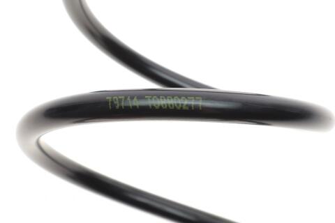 Пружина (передня) Citroen C4 II 2.0HDi/BlueHDi 09-(хетчбек) Пружина (передня) Citroen C4 II 2.0HDi/BlueHDi 09-(хетчбек)