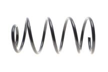 Пружина (передняя) Ford C-Max II 1.6Ecoboost/TDCi 10-19 (вэн/автофургон/микроавтобус) (CB7) Пружина (передняя) Ford C-Max II 1.6Ecoboost/TDCi 10-19 (вэн/автофургон/микроавтобус) (CB7)