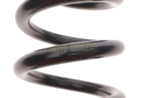 Пружина (задняя) BMW 3 (F31) 1.5-3.0i/2.0-3.0d 12-19 (универсал/фургон)