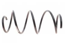 Пружина (передня) Renault Clio III 1.2/1.2 16V/Hi-Flex 05-10