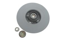 Диск тормозной (задний) Renault Scenic II/Megane II 03-10 (270х10) (+ABS) (с подшипником)