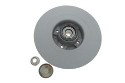 Диск тормозной (задний) Renault Scenic II/Megane II 03-10 (270х10) (+ABS) (с подшипником) Диск тормозной (задний) Renault Scenic II/Megane II 03-10 (270х10) (+ABS) (с подшипником)