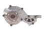 Помпа води Audi/Seat/VW 1.3/1.6/D/TD/1.7/D/1.8/1.9/D/TD/TDI/SDI/2.0/E 76- (R/B)(6 лоп)(з корп.), фото 8 - інтерент-магазин Auto-Mechanic