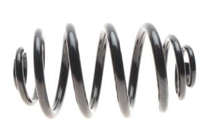 Пружина (задня) BMW 3 (E36) 1.6-2.8i/is/2.5Td/Tds 90-99 (седан/купе)(з не пост.діам.)