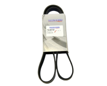 Ремінь генератора Renault Kangoo 1.9dTi/dCi 01- (6PK1210)