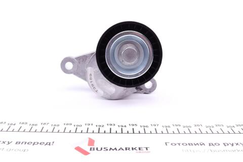 Натяжник ременя генератора Citroen C3 II/C4 1.4-1.6HDi 09-