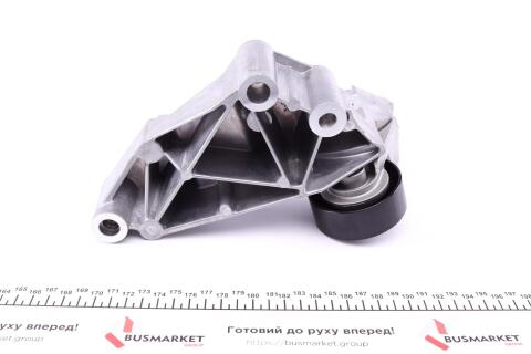 Натяжник ременя генератора Ford Connect 1.8TDCi