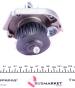 Помпа води Fiat Bravo/Punto 1.2 16V 97-02 (23z) (B/B) (8 лоп.), фото 6 - інтерент-магазин Auto-Mechanic