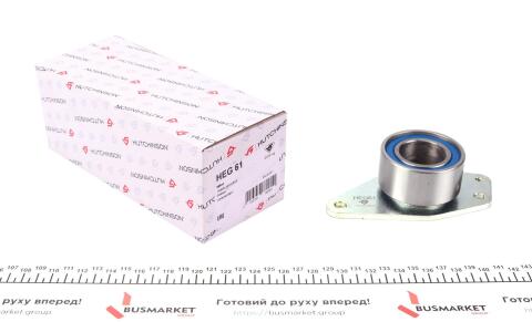 Ролик ГРМ Renault Kangoo 1.9dCi 01- (паразитний) (65х30.8)