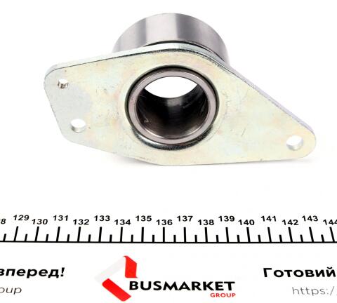 Ролик ГРМ Renault Kangoo 1.9dCi 01- (паразитний) (65х30.8)